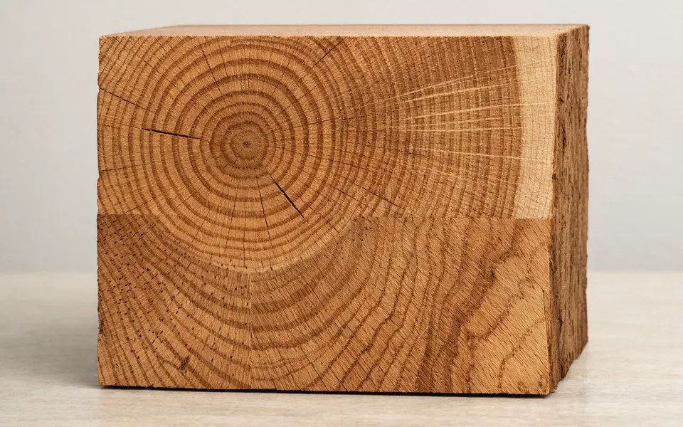 Close-up visual clues that help distinguish wood grain patterns