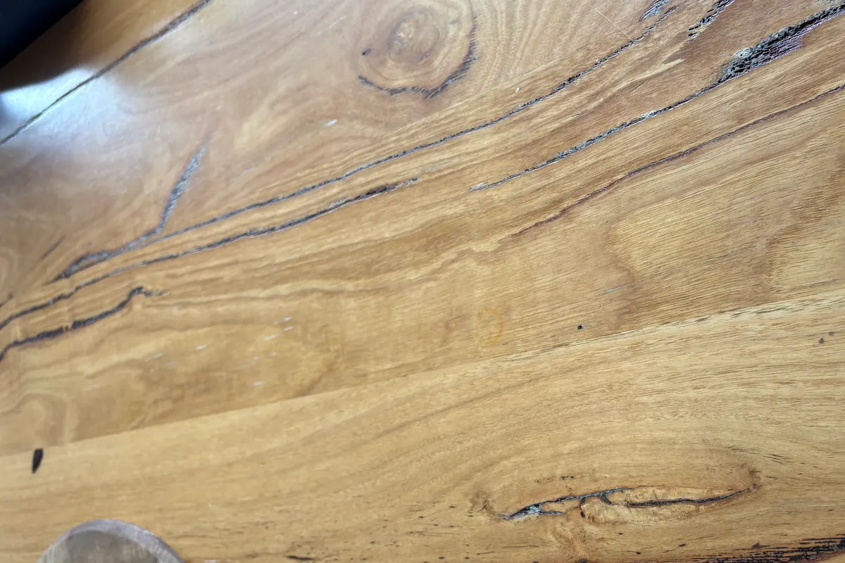 Spalted oak (likely white oak slab) identified with Wood Identifier - Wudora